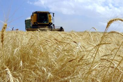 Türkiye tarımsal hasılada dünyada 7'nci, Avrupa'da birinci sırada