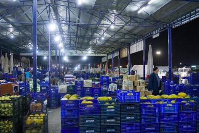 Yaş meyve ihracatı, 7 ayda 1 milyar doları aştı